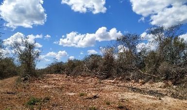 Urgente actuar contra el deterioro ecológico