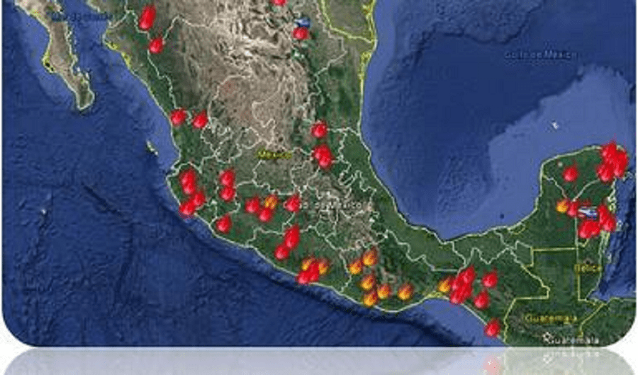 Hay 104 incendios forestales activos ubicados en 19 estados