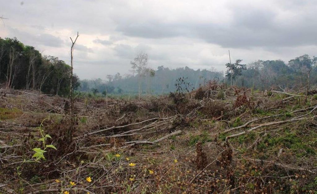 Incendios activos en el país no representan peligro para la población: AMLO