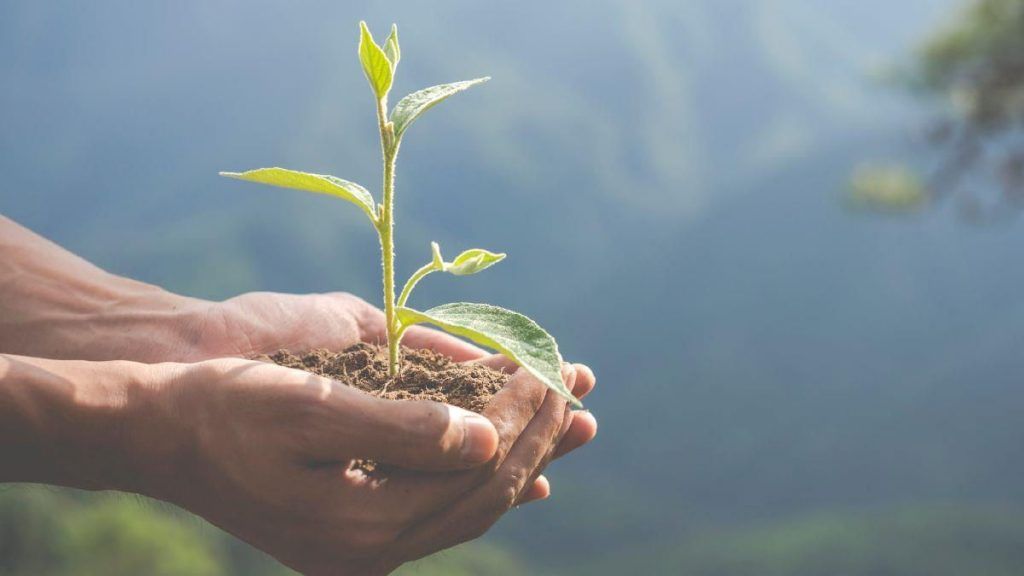 Medio ambiente limpio es declarado como derecho humano