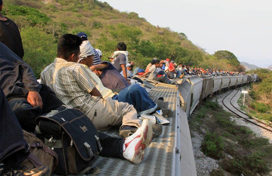 2023 el año con más migrantes muertos en accidentes carreteros: OIM