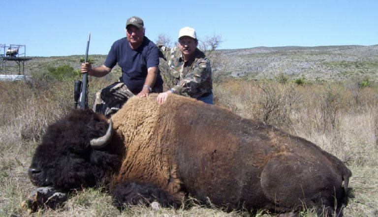 Semarnat no ha autorizado permisos de aprovechamiento cinegético del Bisonte Americano