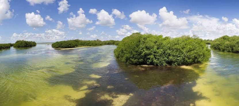 Continúan impulsando actividad turística en Quintana Roo