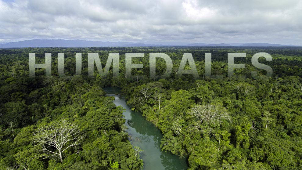 Humedales, sostén de biodiversidad biológica