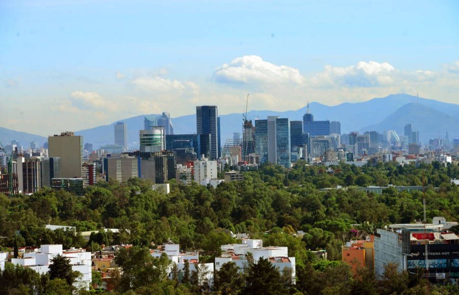 Instalarán planta para producir biocombustible