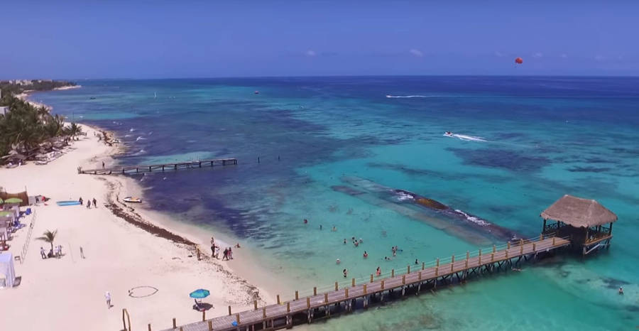 Alertan por tiburones en playas de Xcalacoco