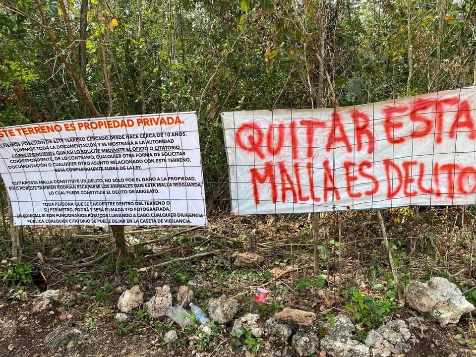 Con violencia intentan despojar de terreno al Santuario Tierra de Animales en Cancún