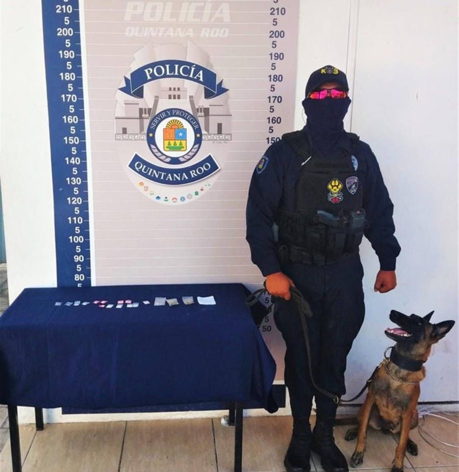 Binomio canino detecta droga en buzón