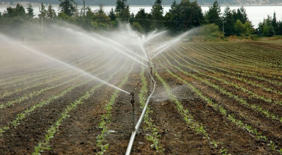 Sistema de producción agrícola requiere pronta transformación