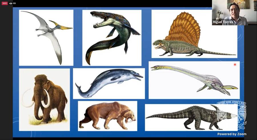 Repetimos condiciones similares a las que provocaron extinción masiva