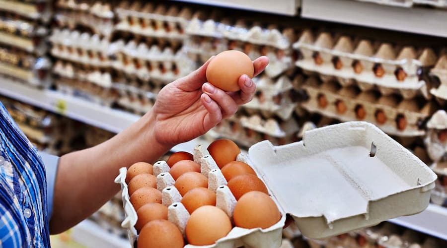 Se puede consumir dos huevos diarios sin afectar colesterol