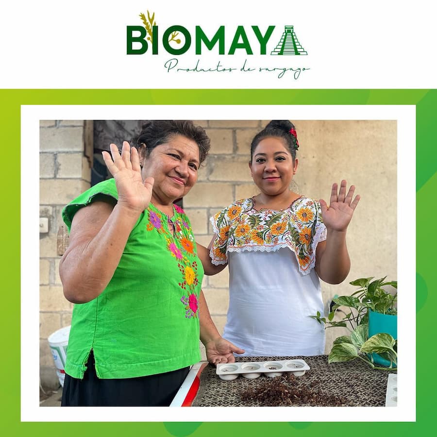 Respalda BioMaya el trabajo de las amas de casa de comunidades mayas