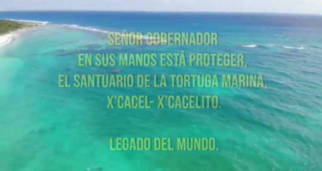 Exigen en redes densidad cero para salvar tortugas de Xcacel