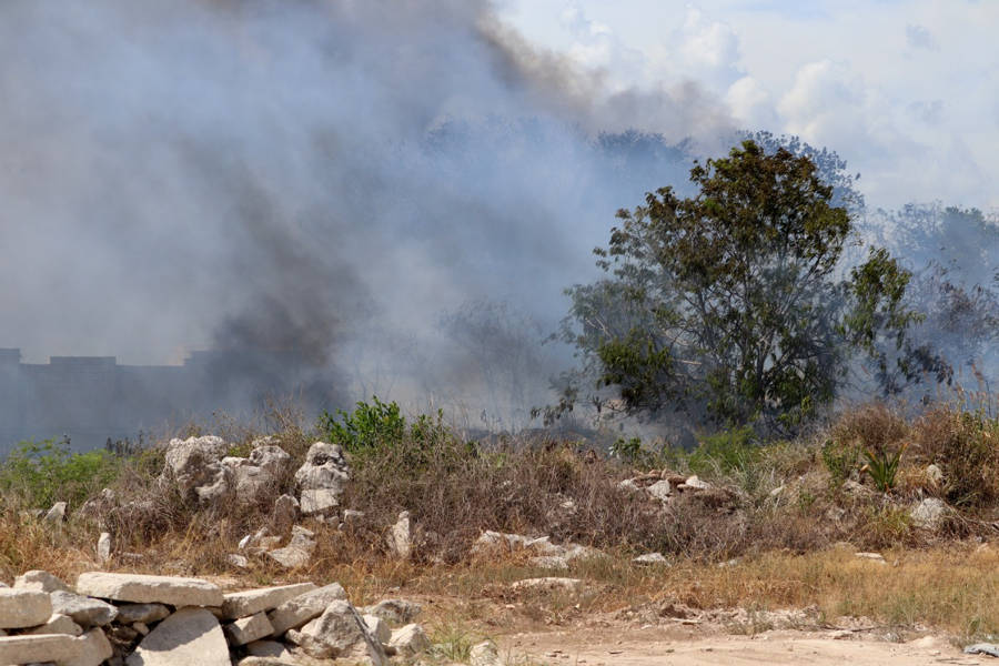 Derivado a una quema de llantas se desata fuerte incendio en un área verde.