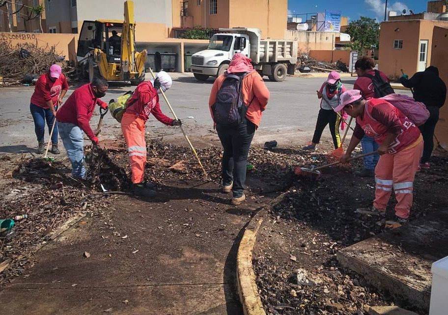 Refuerza Gobierno de Solidaridad acciones contra el dengue, zika y chikungunya