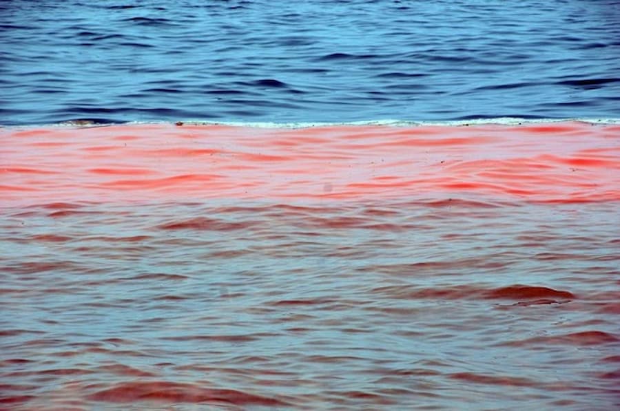 Alertan en Oaxaca por marea roja