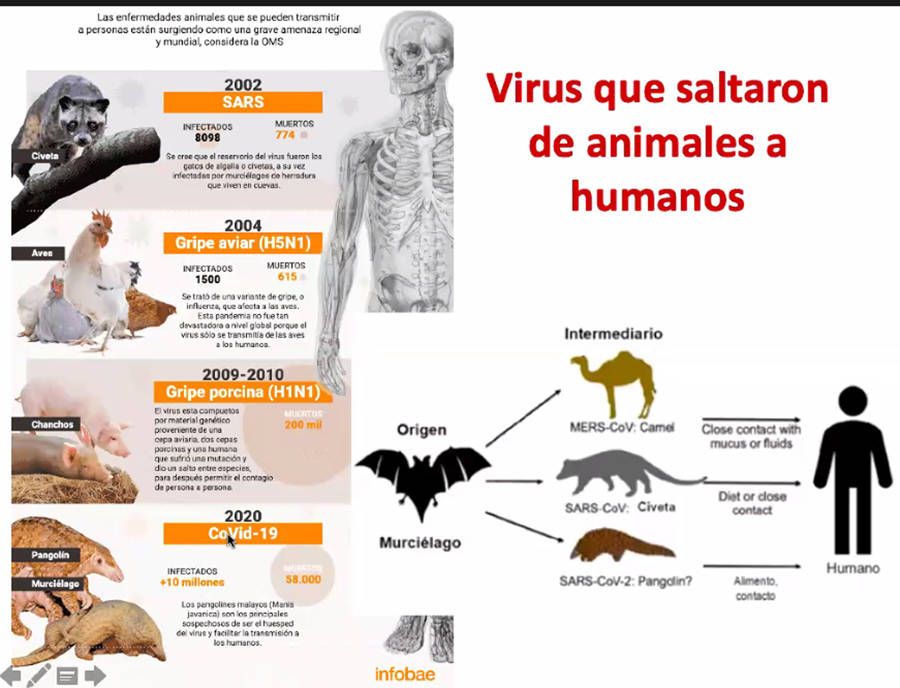 Es urgente replantearnos nuestra relación con la naturaleza