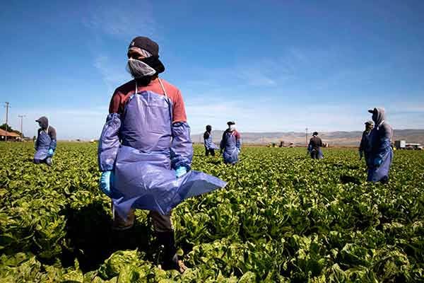 Economía mexicana no depende de las remesas: UNAM