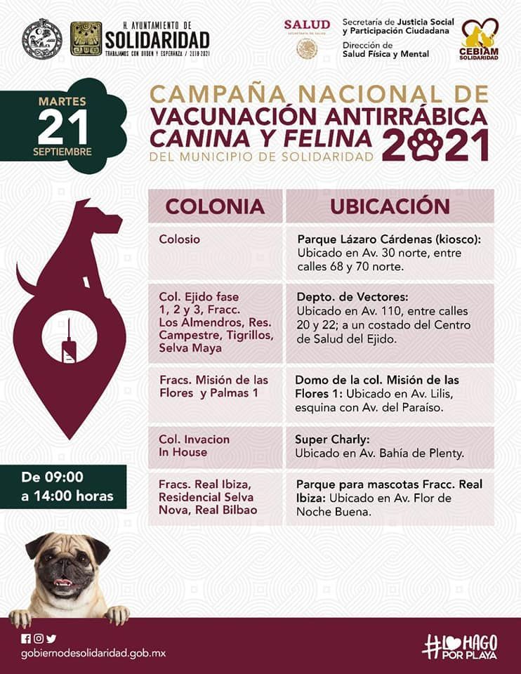 19 de septiembre inicia la campaña de vacunación para perros y gatos