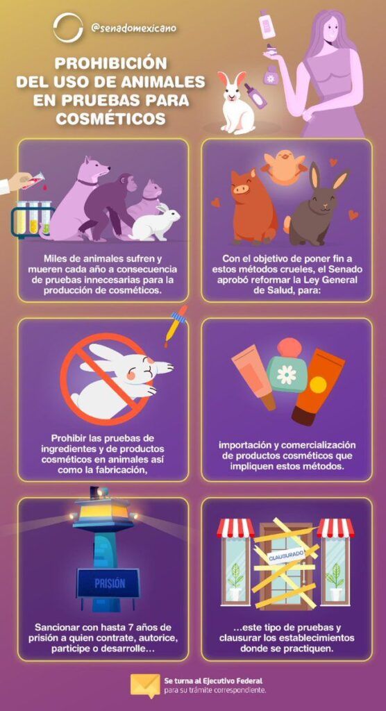 Prohíbe Senado uso de animales para experimentos cosméticos