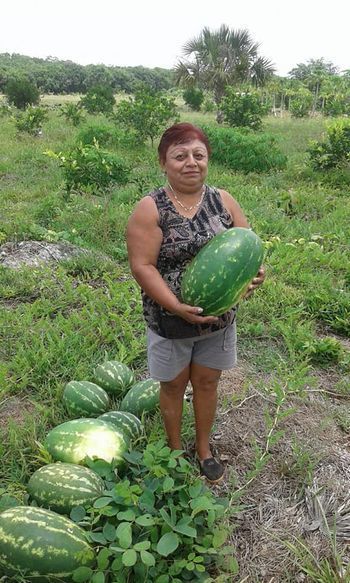 Entregan en Puerto Morelos 100 paquetes de semillas de hortalizas