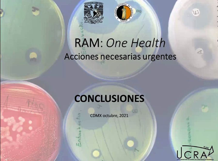 Buscan reducir 50% el uso de antibiótico en el mundo.
