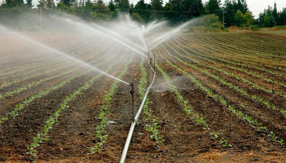 Solo 0.1% de concesionarios acaparan 38% del agua para riego