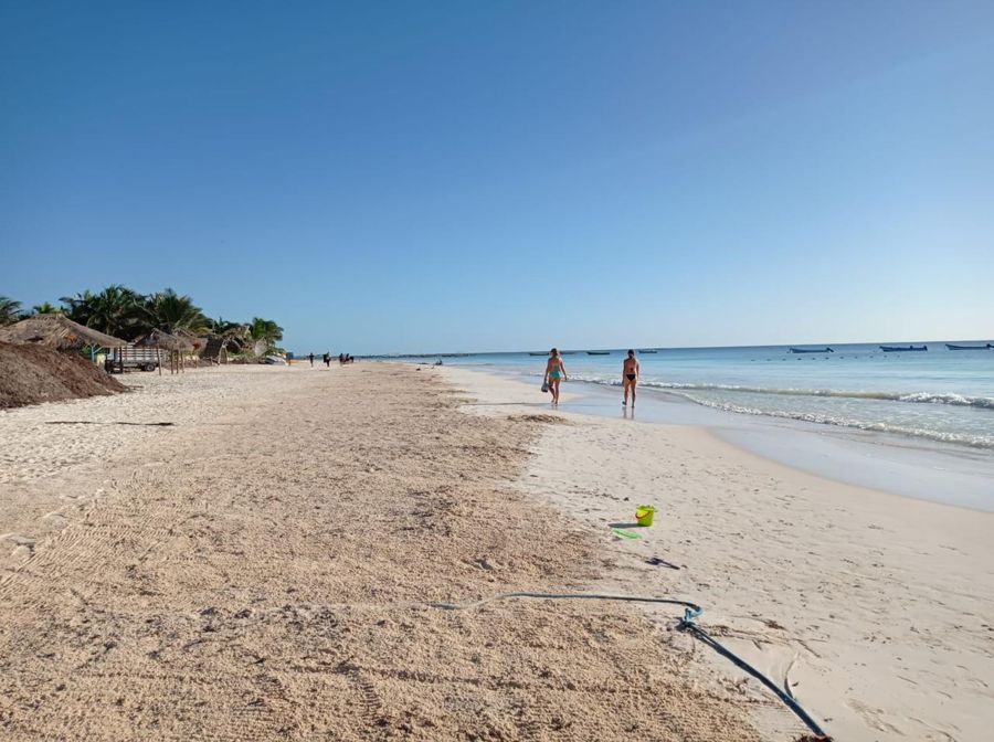 Playas de Tulum lucen su mejor rostro en tres años