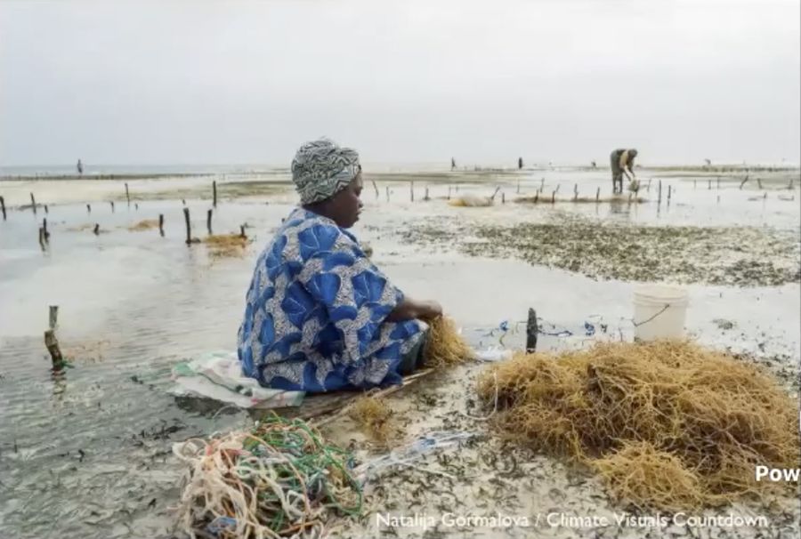 Avances lentos en favor del cambio climático