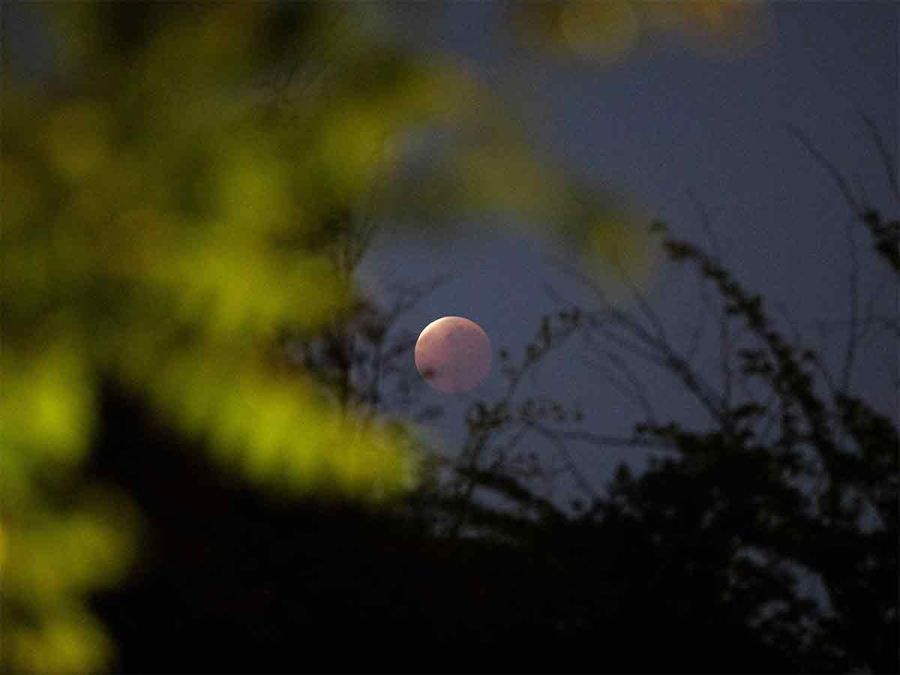 Así se vio el eclipse lunar