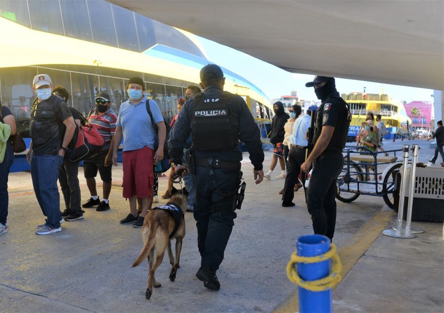 Reactivan en Cozumel Unidad Canina C-9