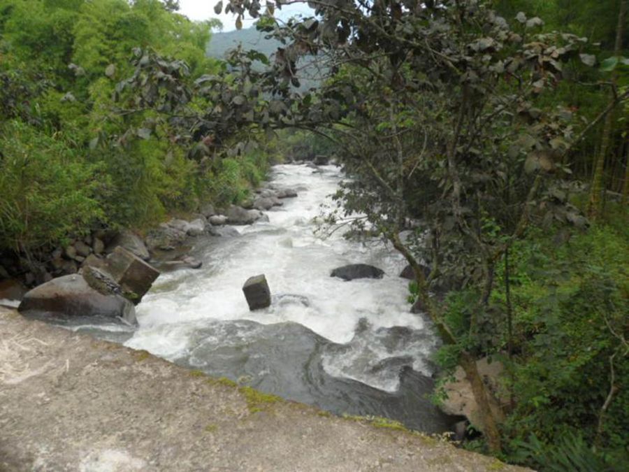 Indispensable cuidar los suelos para conservar ecosistemas y cultivos