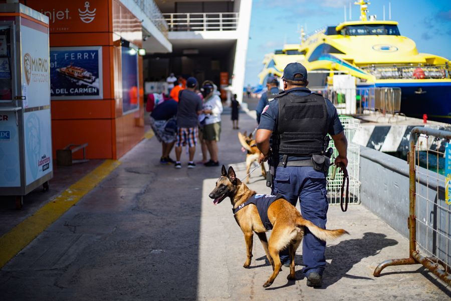 En Cozumel reactivan operativos conjuntos en muelles