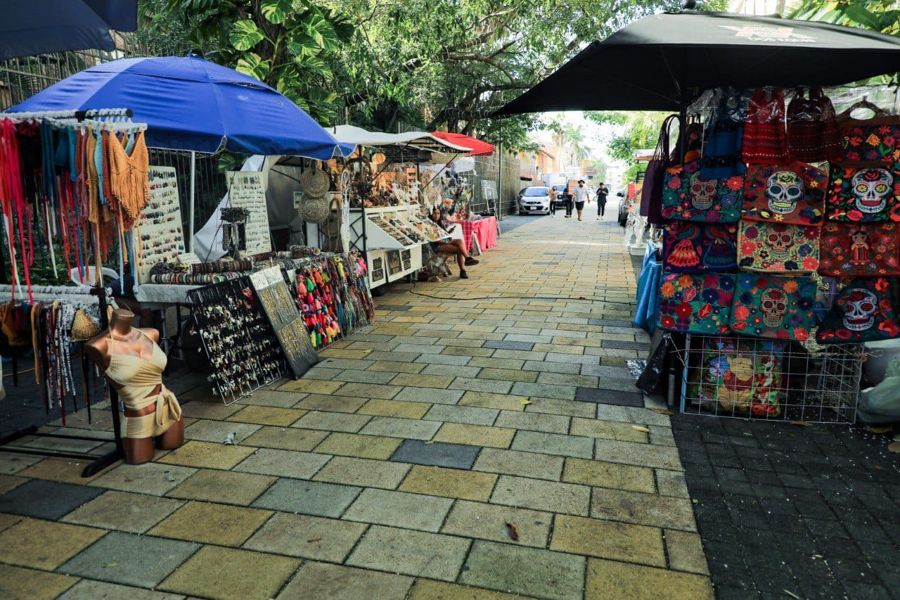 Solidaridad a favor del comercio ordenado en Quinta Avenida