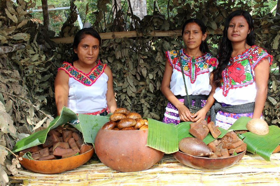 Suegras y hasta concuñas también ejercen violencia de género