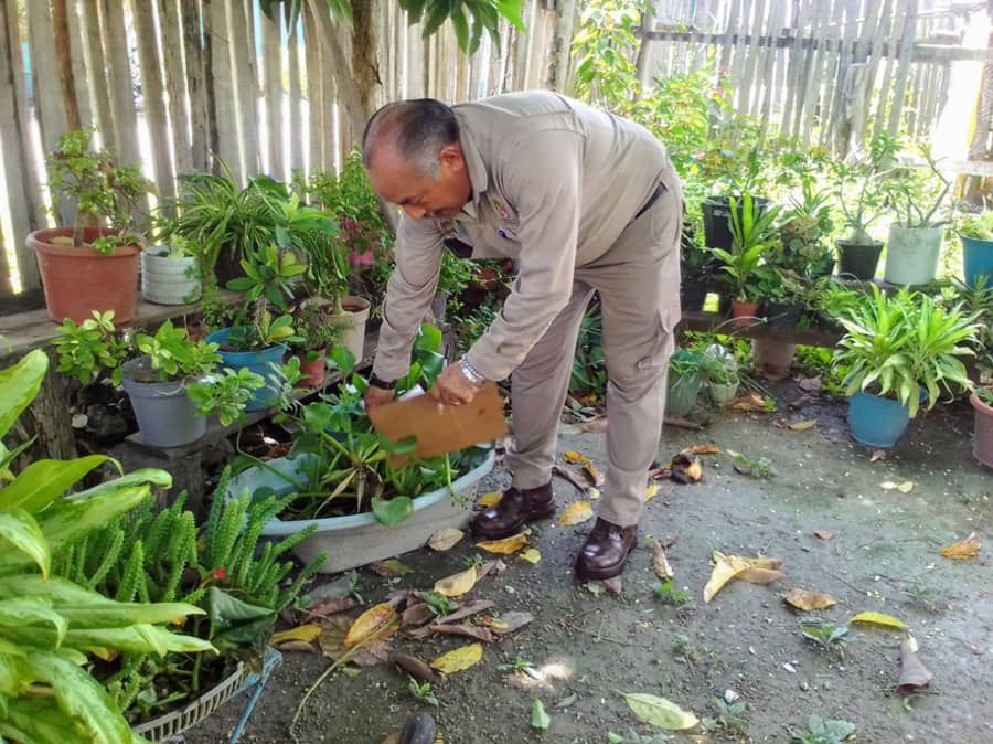 Continúan acciones para combatir el dengue, zika y el Chikungunya