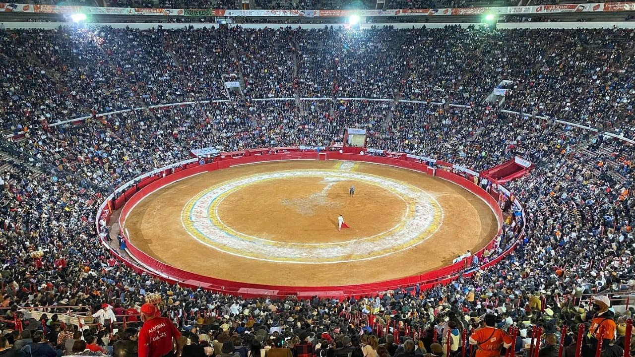 Acepta SCJN atraer amparo contra celebración de corridas de toros